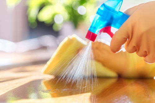 What questions should I ask my cleaning service